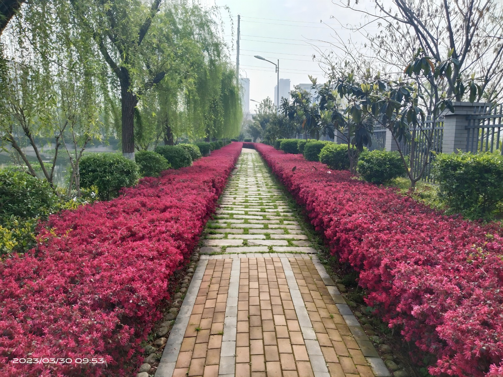 1709108882534626.jpg 孝南區(qū)人民檢察院維修升級改造項(xiàng)目-綠化改造 (2)(1).jpg